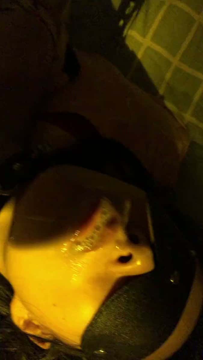X (Twitter) adult video XkJYVP7Ypp27NAfb