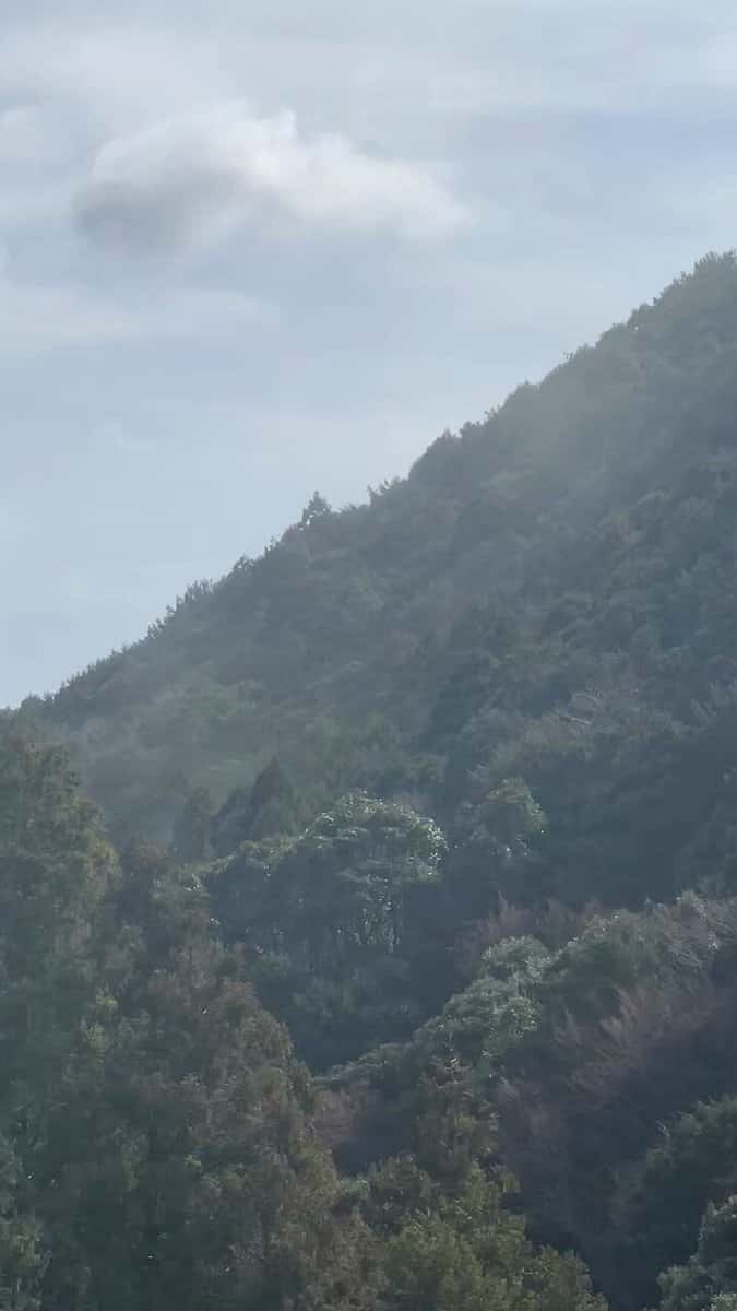 X(Twitter)エロ動画・アダルト動画 chwykm0ofa6thrwd