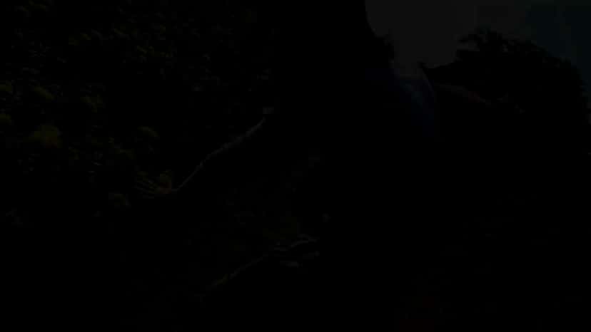 X (Twitter) adult video n0qbqxa4ujbkudiv