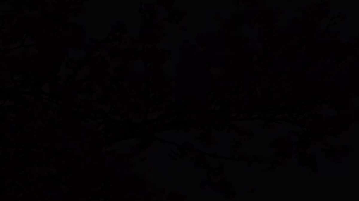 X (Twitter) adult video ad64nlhtvj3lq4ha