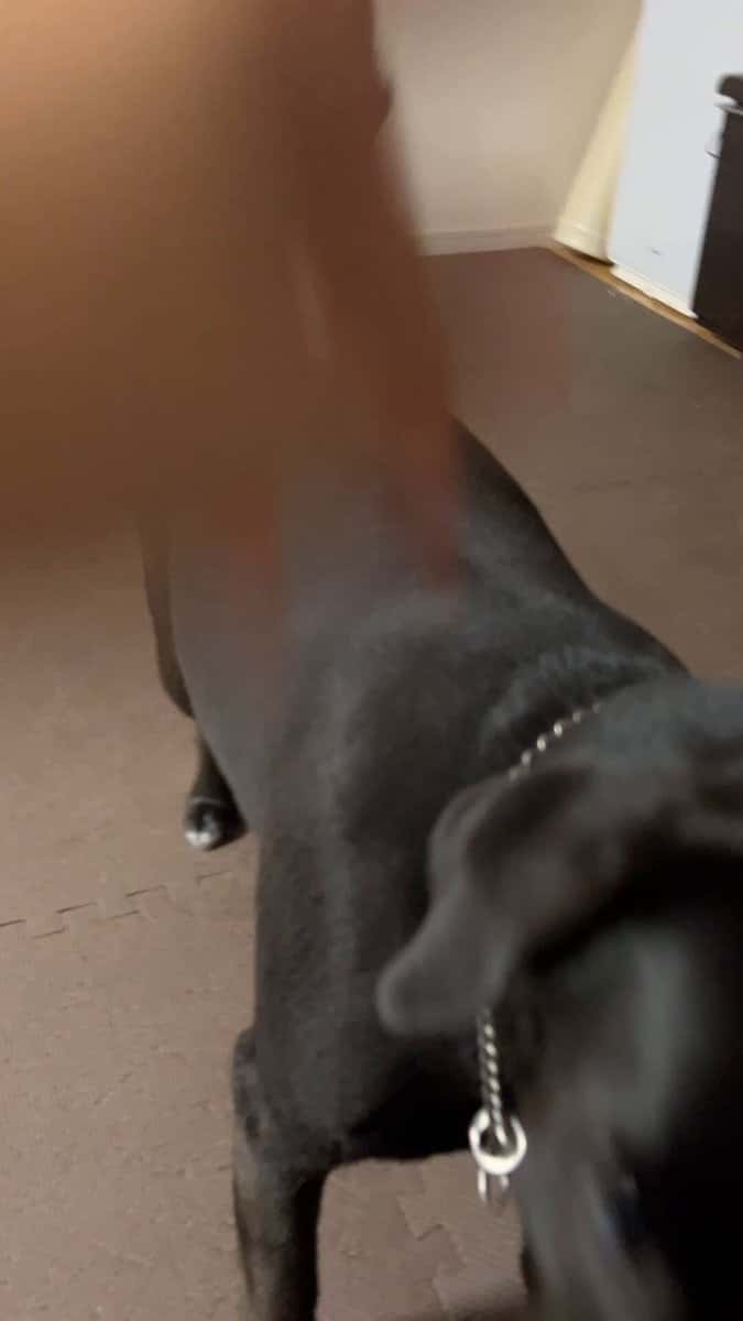 X (Twitter) adult video hcqxmrtwihvbkzse