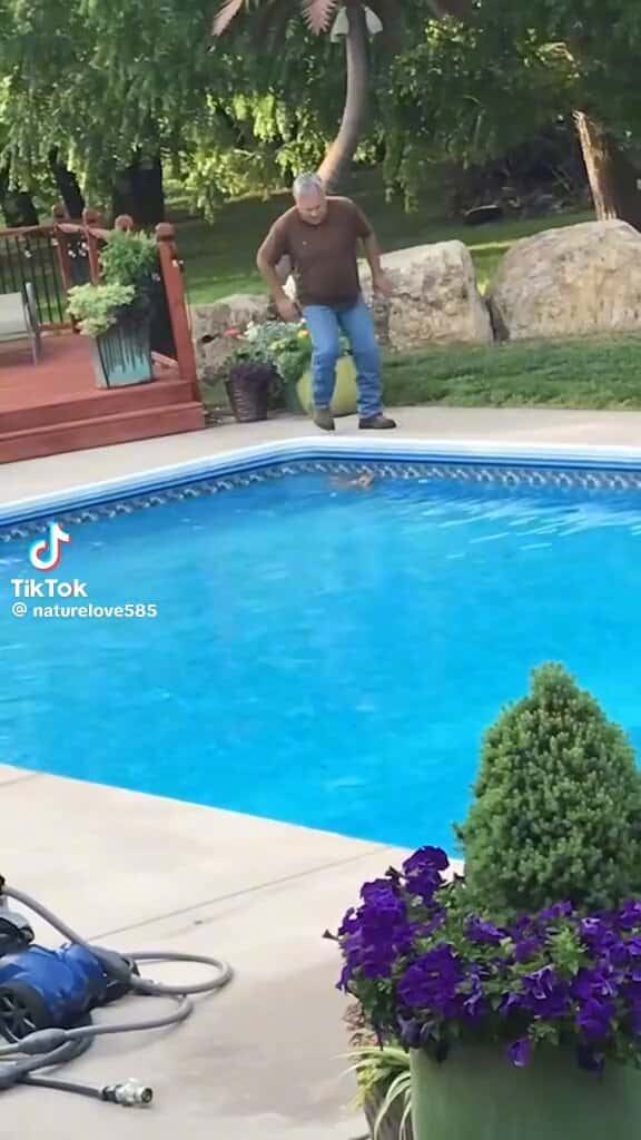 X (Twitter) adult video wrfhf3_bbqpaa-ed