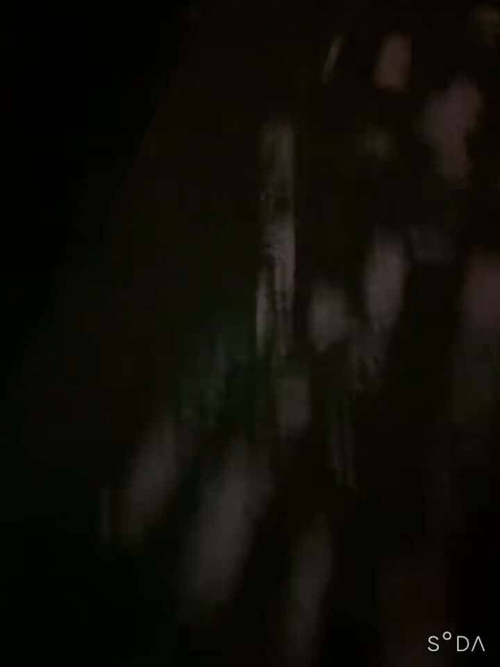 X (Twitter) adult video mQpbCUubeuh1QYpD