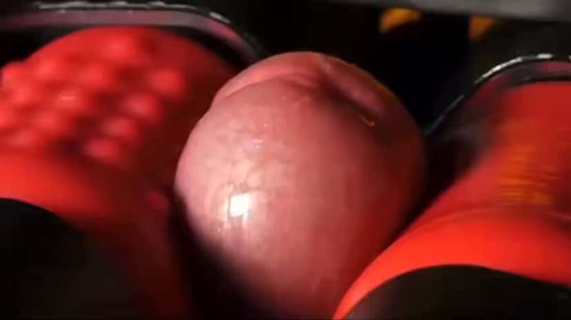 X (Twitter) adult video 7Dyw_tNHF36lM8XJ