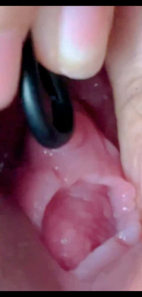 X (Twitter) adult video ahq5wgrQkgSEPolt
