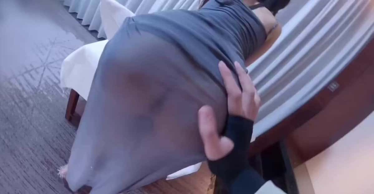 X (Twitter) adult video 5n6C-dYVIIloFqNU