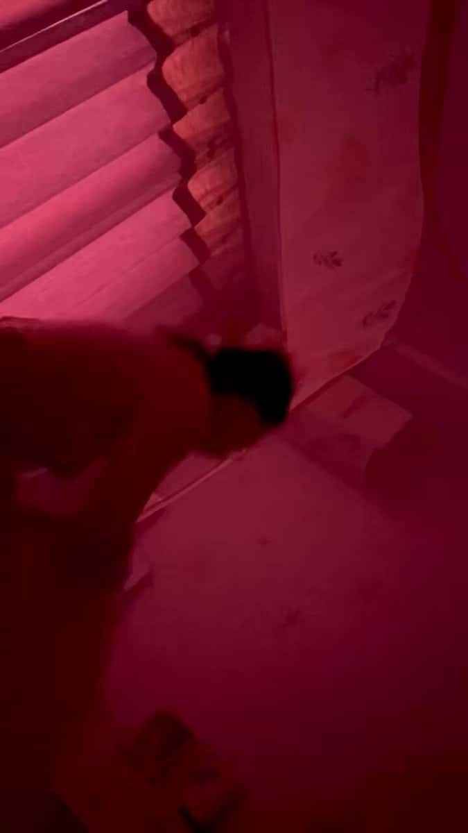 X(Twitter)エロ動画・アダルト動画 MthZUzxmu2mV_giq