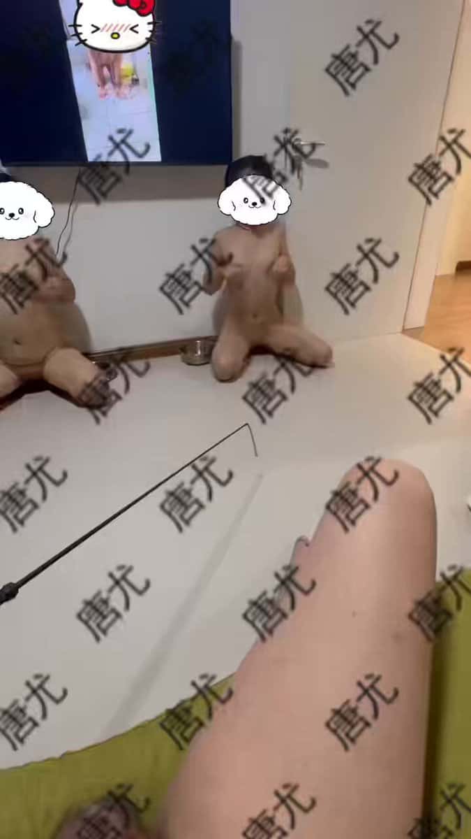 X (Twitter) adult video 75r8kgtn6lIHFluX
