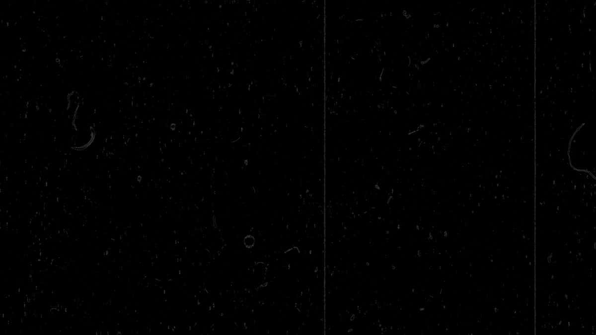 X(Twitter)エロ動画・アダルト動画 jiOPO5asOOAFo2Jf