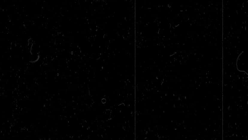 X(Twitter)エロ動画・アダルト動画 jiOPO5asOOAFo2Jf
