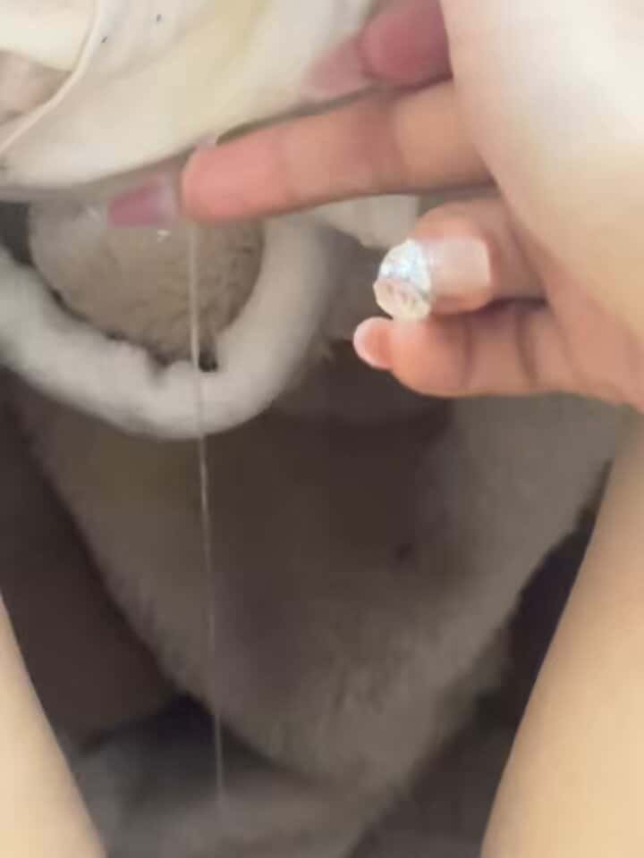 X (Twitter) adult video CPNbVDB5W83WftSR