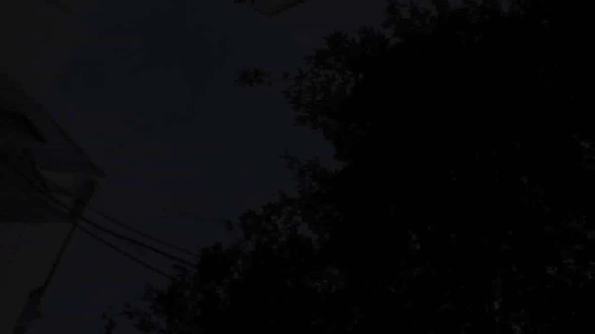 X (Twitter) adult video tmv7mylqdzr-rk3a