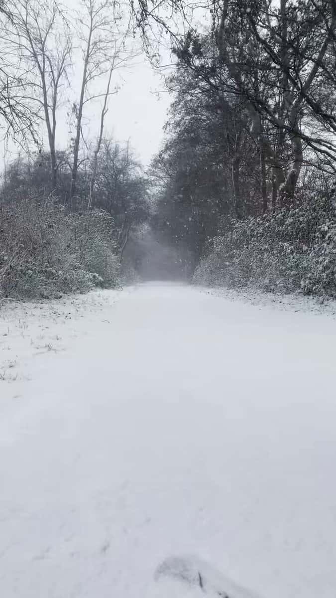 X (Twitter) adult video XsvD0OY0baiQXzMx
