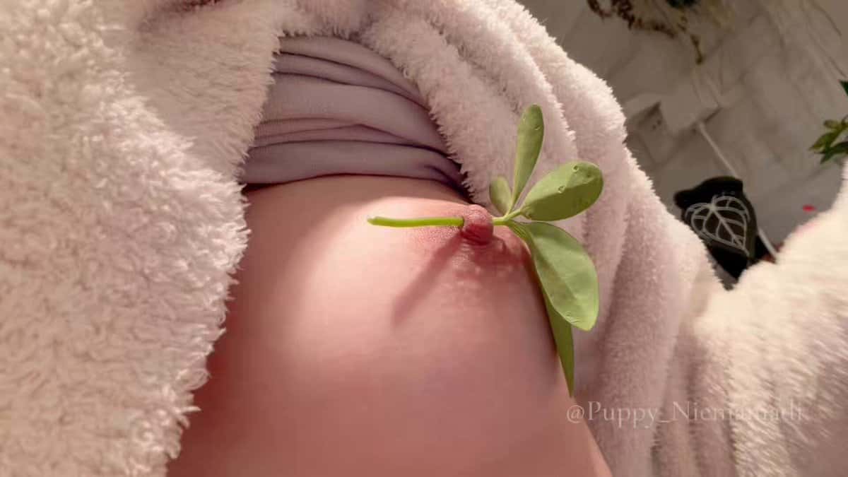 X (Twitter) adult video pFz4IzQM5KCarWNA