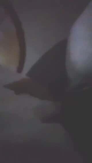 X (Twitter) adult video PcEJGKIJ7VmqCSw3