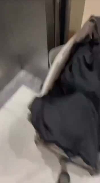 X (Twitter) adult video Im_NLbDjfGBlKKF8