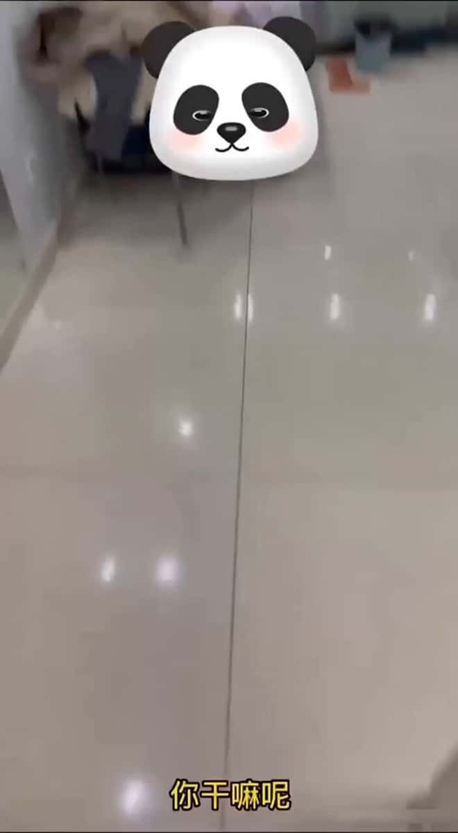 X (Twitter) adult video HdydDtIpcHxtWYUW