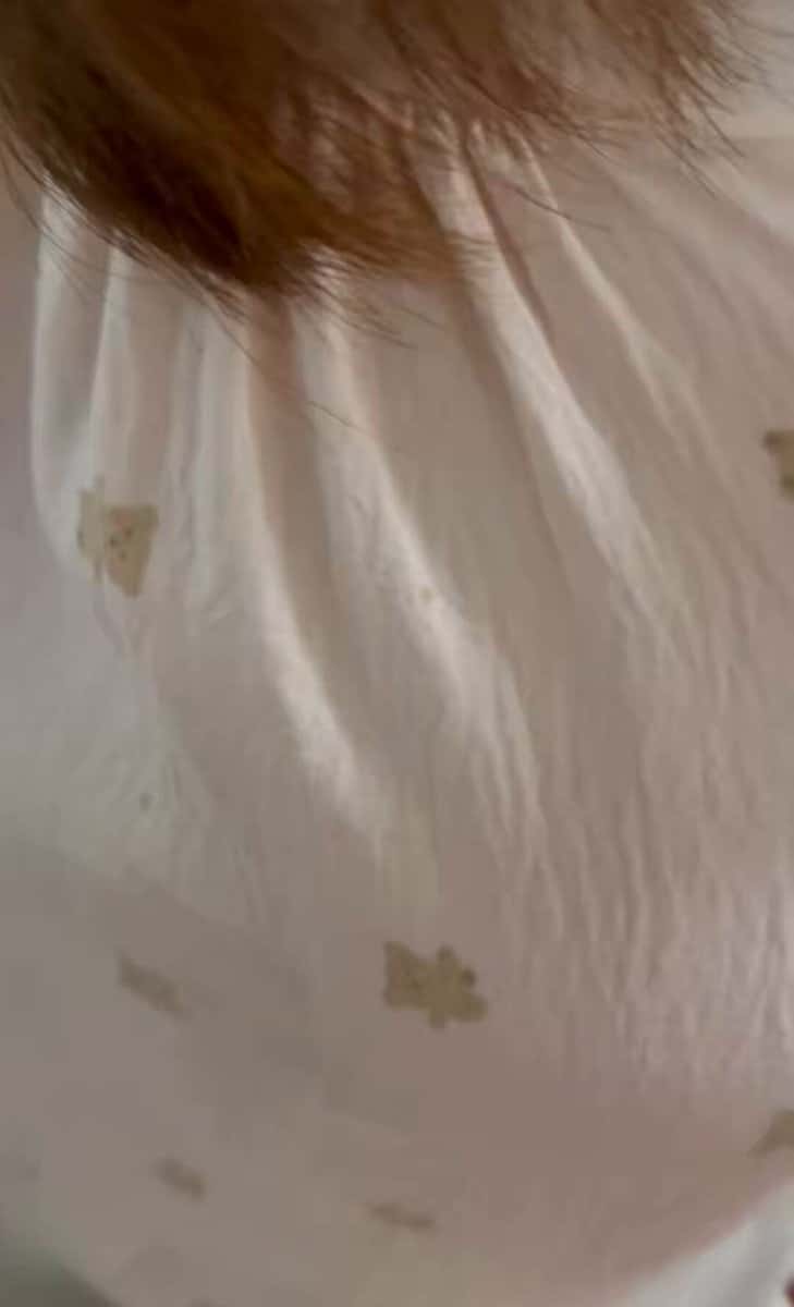 X (Twitter) adult video X7a1Njty0A6uXyhl