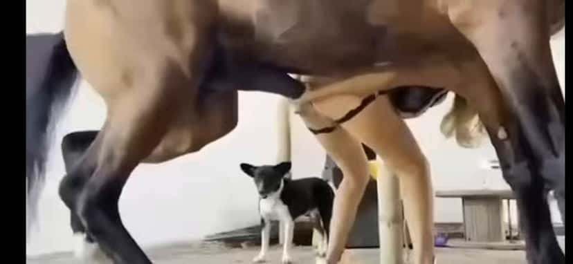 X (Twitter) adult video QXAZN7KqhXE3y5HU