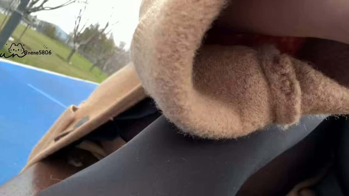 X (Twitter) adult video f80fMarid_PN4jV4