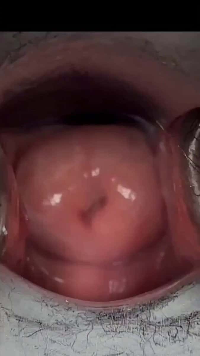 X (Twitter) adult video G3RIlhofglI4tYvC