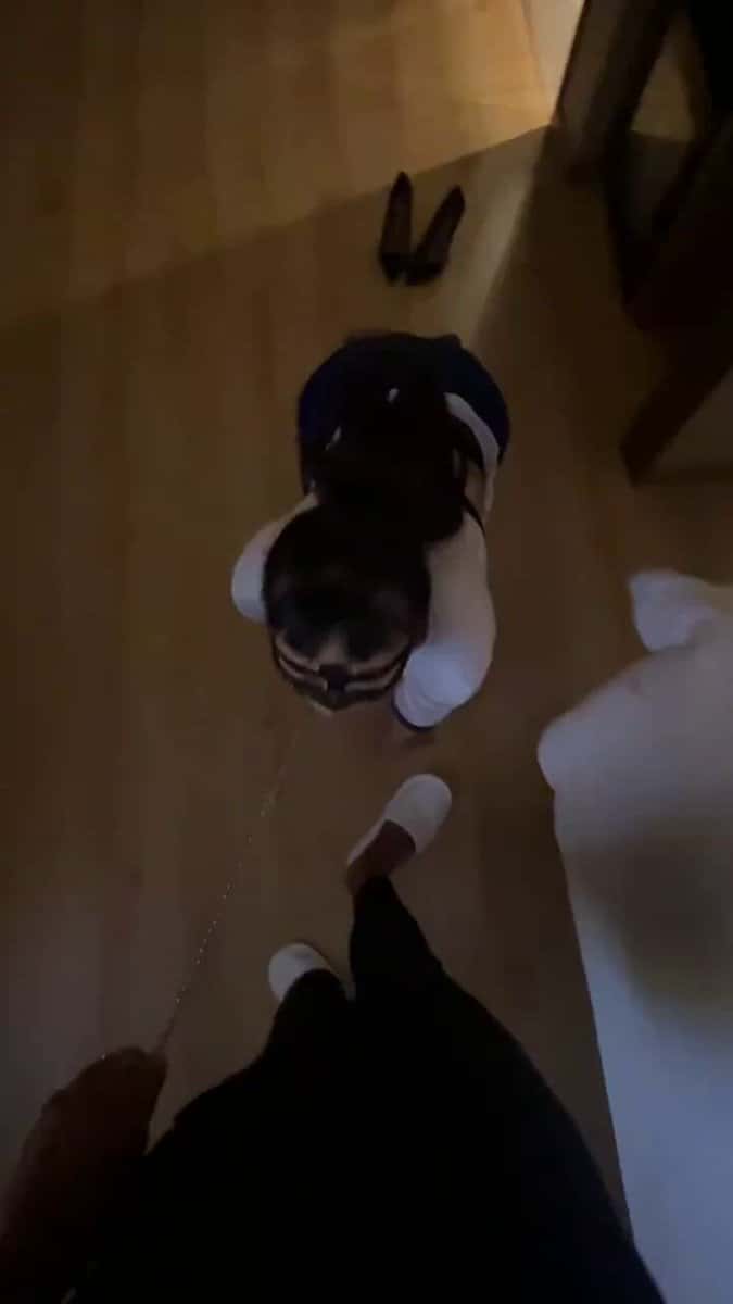 X (Twitter) adult video 7kfhV3FQIOpmUSau