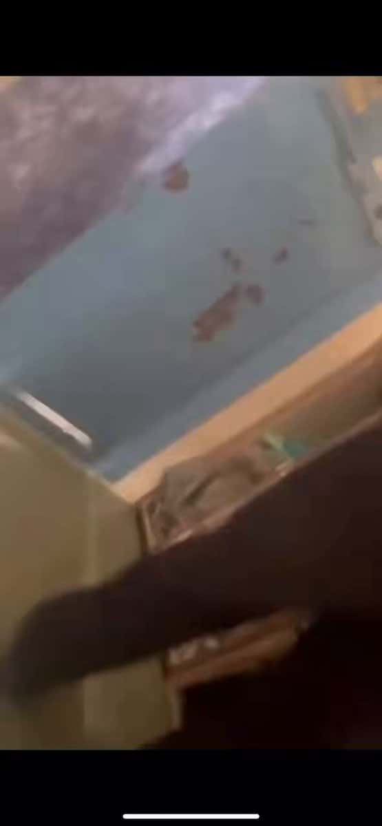 X (Twitter) adult video 2PWywkuL3s3m-GCc