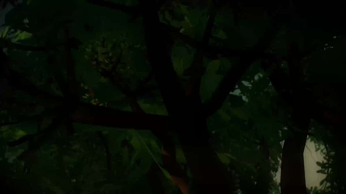 X (Twitter) adult video o3fWvoF29KFtgT2F