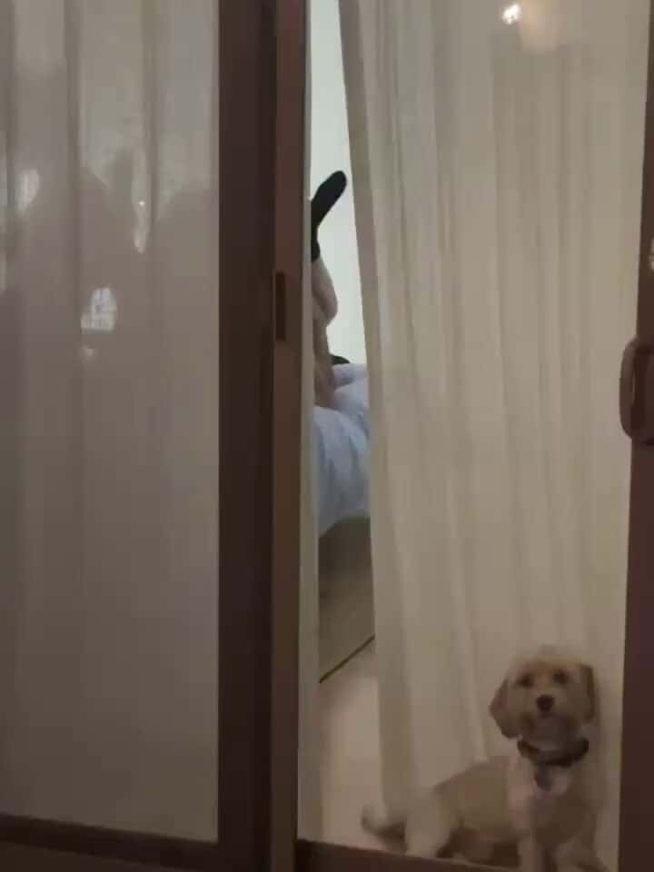 X(Twitter)エロ動画・アダルト動画 TWMDsDrDKDt_18nr