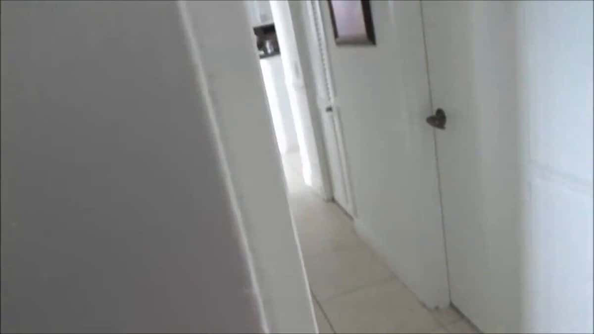 X (Twitter) adult video avxUywhMSAvuBz_0