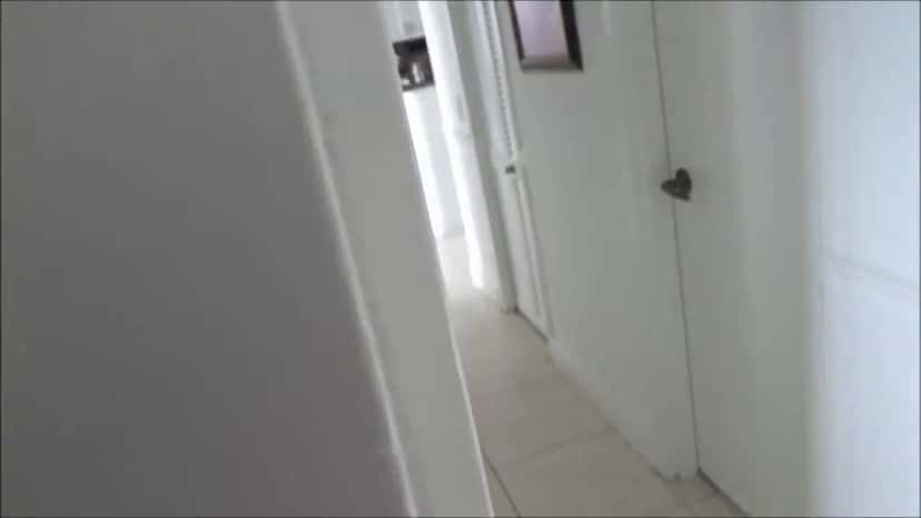 X (Twitter) adult video avxUywhMSAvuBz_0