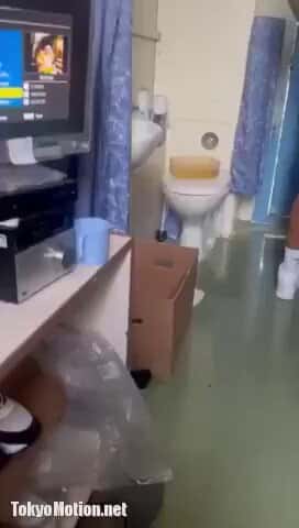 X (Twitter) adult video s-iat9gzwlq3ccsy