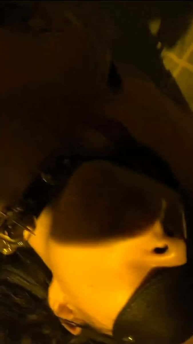 X (Twitter) adult video T0zcsqI95SQ_1QTT