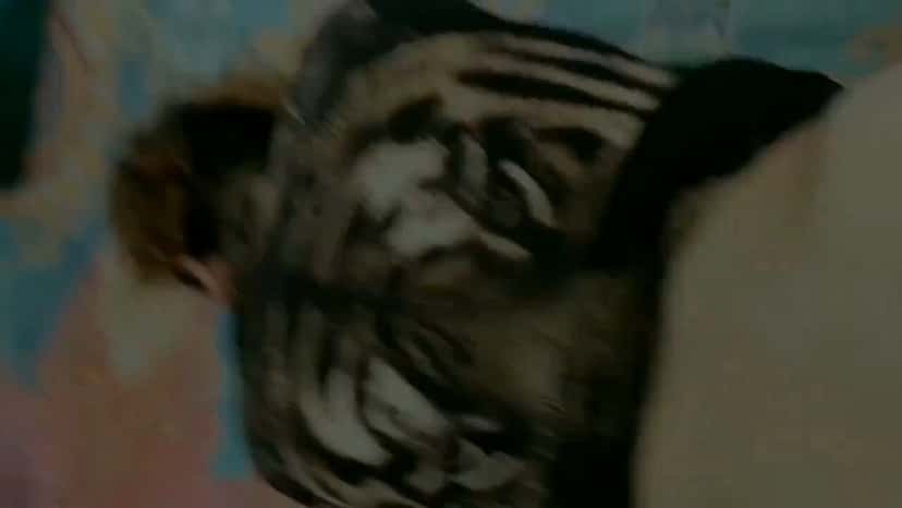 X (Twitter) adult video 2sKXhxnIf3WXIxIC