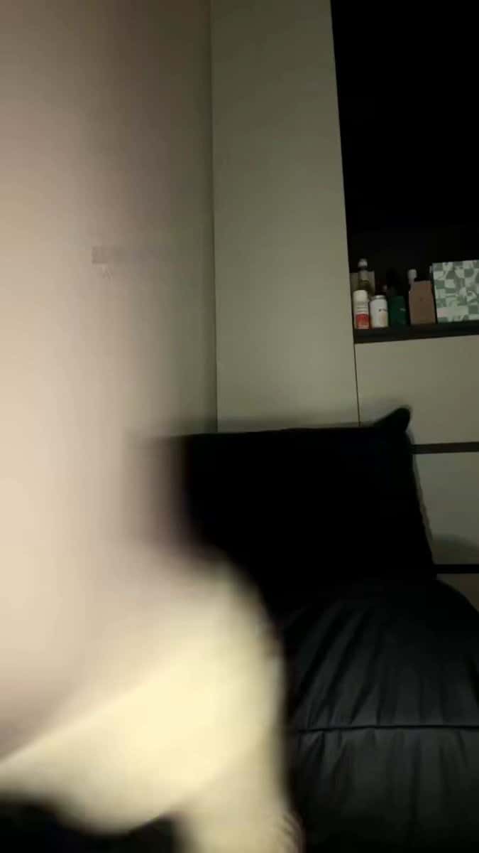 X (Twitter) adult video 0cCmTKXPjEUh-46b