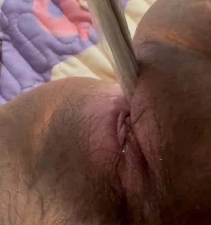 X (Twitter) adult video l3RGUswQJ3mx_T90