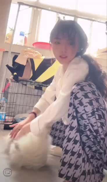 X (Twitter) adult video Twio_Hobs8thJM6a