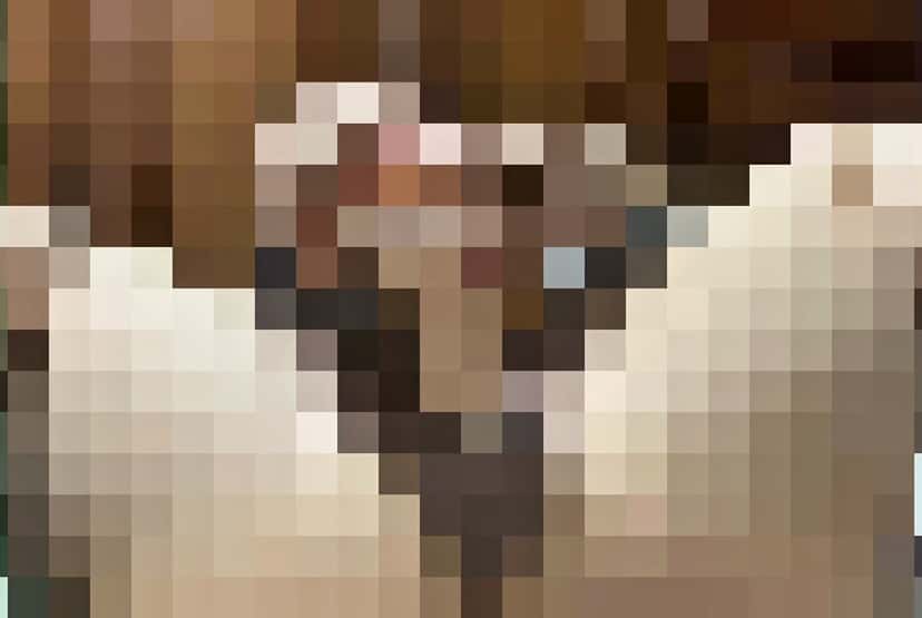 X (Twitter) adult video nxb3oxfe8gk3d-6b