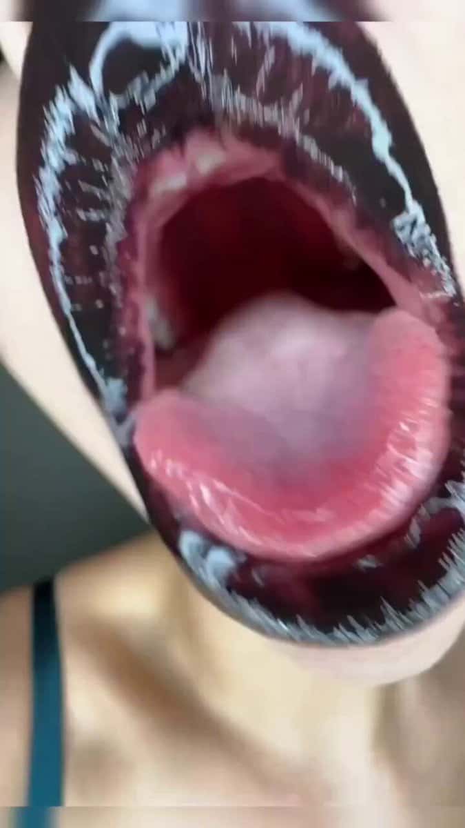 X (Twitter) adult video UTAhQDFF0l_ImqV1