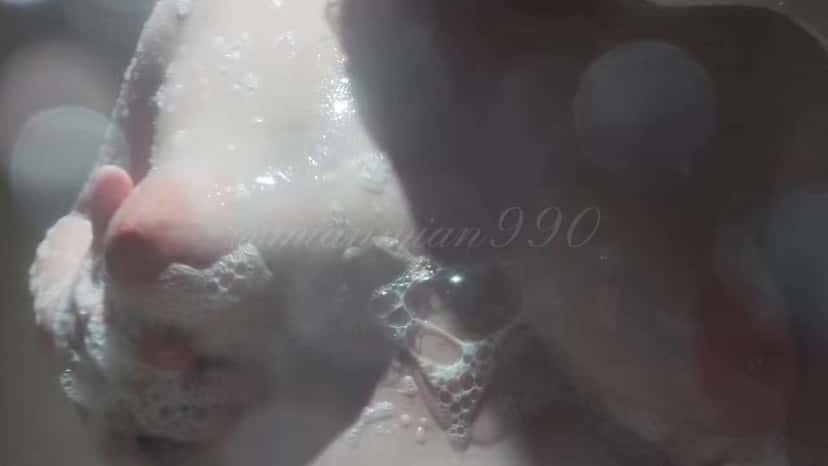 X (Twitter) adult video 47cZzNXAwFUeAY4Q