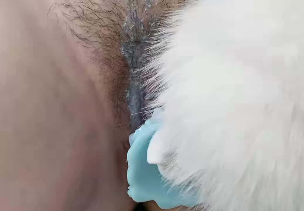 X (Twitter) adult video Hxnjp1TeMu-b7D3m