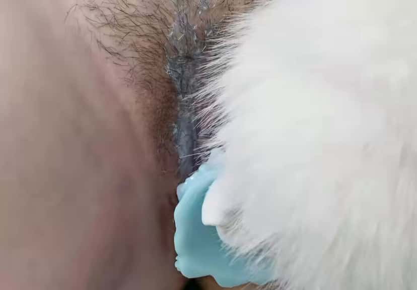 X (Twitter) adult video Hxnjp1TeMu-b7D3m