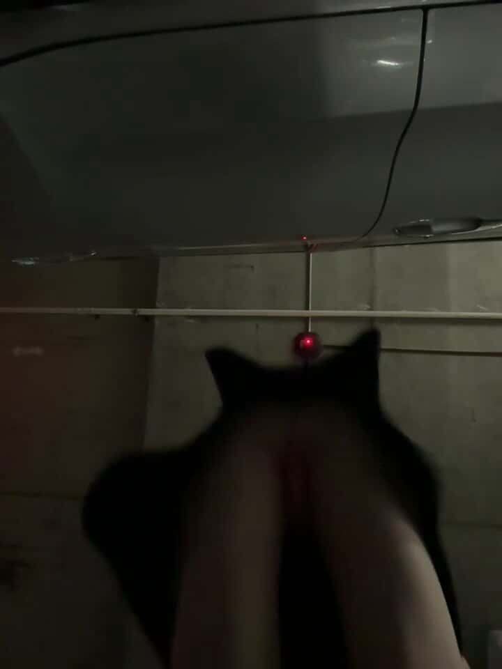 X (Twitter) adult video xhWXWOCOX4jtOaEM