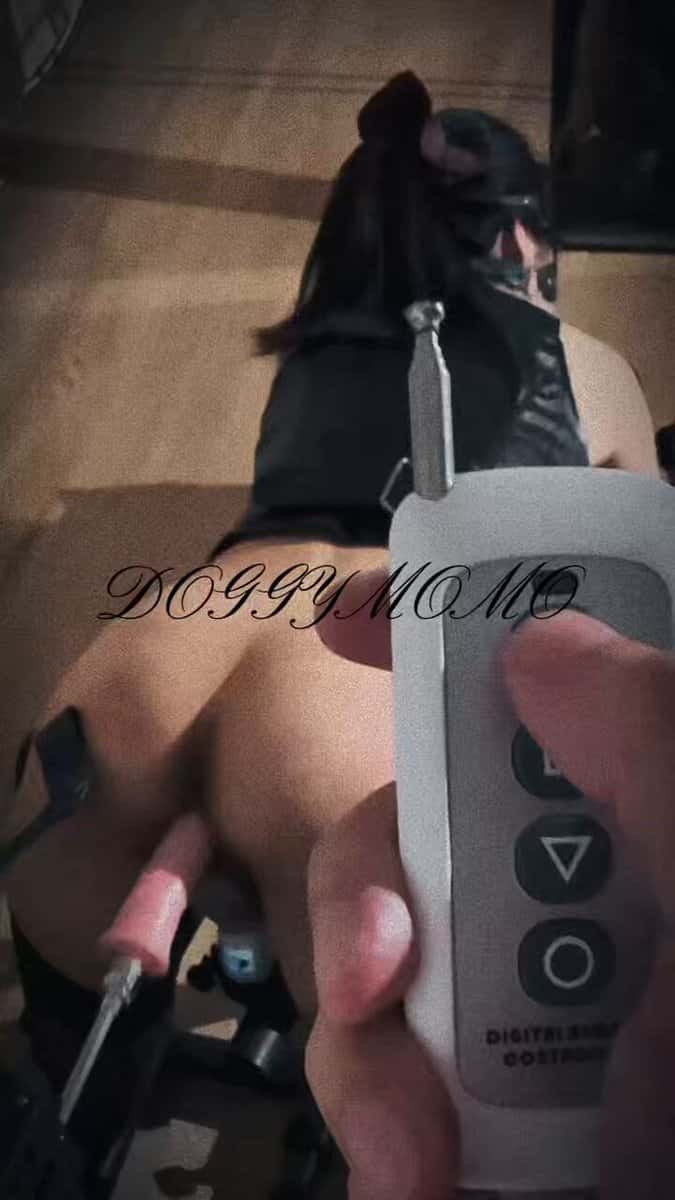X (Twitter) adult video ifJXMuCml8JebT_y