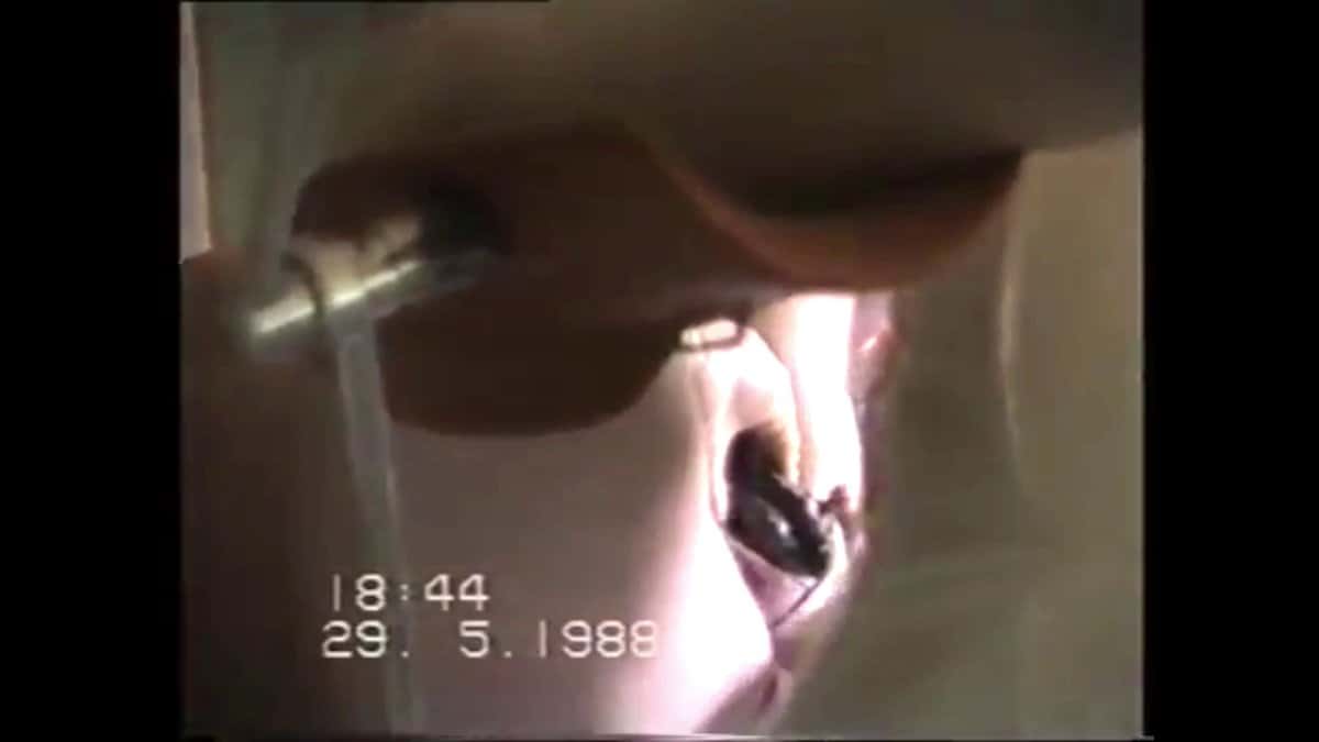 X (Twitter) adult video mj-FcudILLrvDHLq