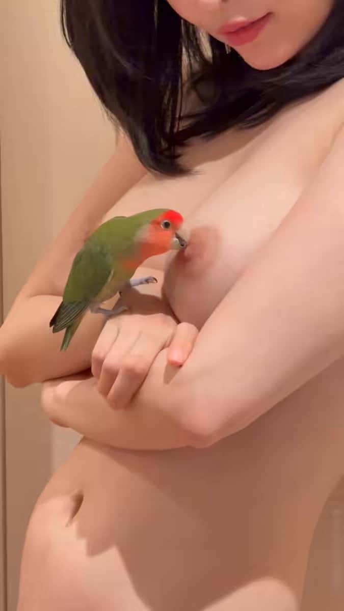 X (Twitter) adult video RlToPlPp5xElCq4R