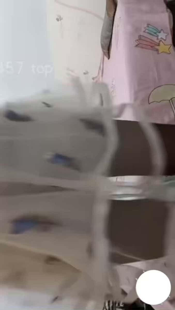 X (Twitter) adult video 4lMb-G5isetRhY9S