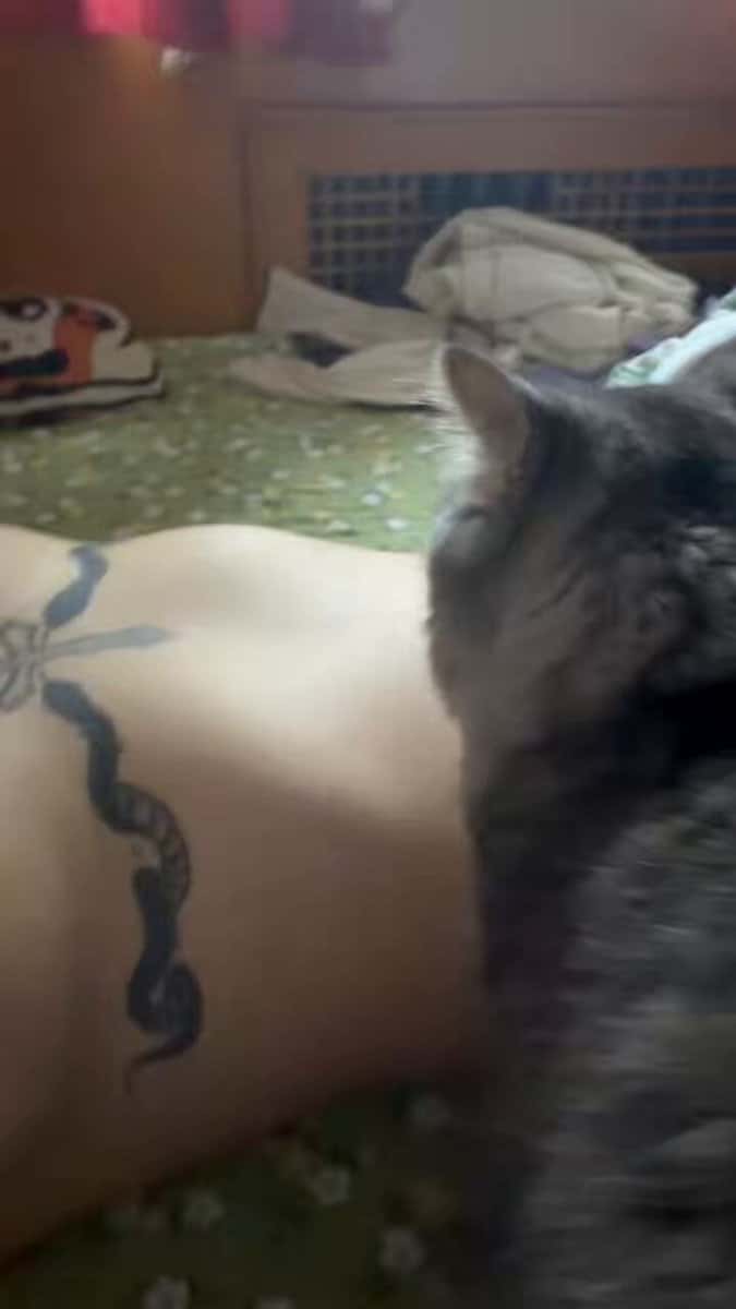 X (Twitter) adult video QuvPmJamTV9Vzo17