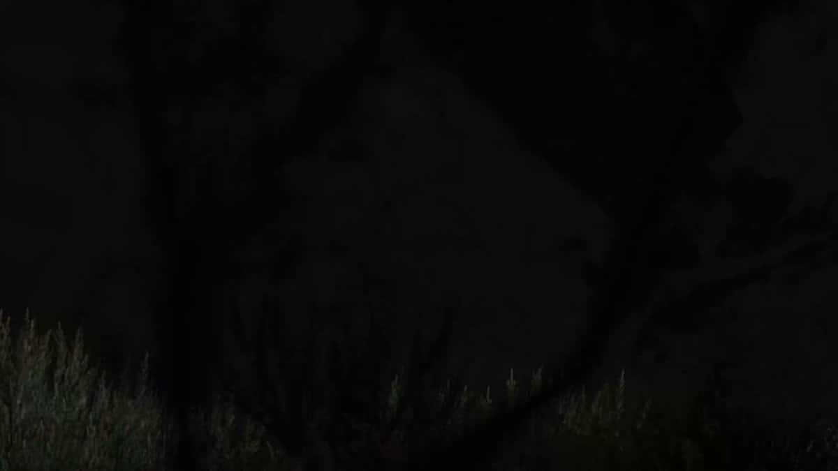 X (Twitter) adult video DTk89KNq_YWpyKav