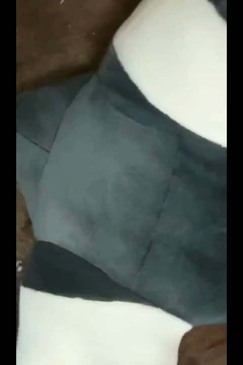 X (Twitter) adult video haaerr060e8ygmbq